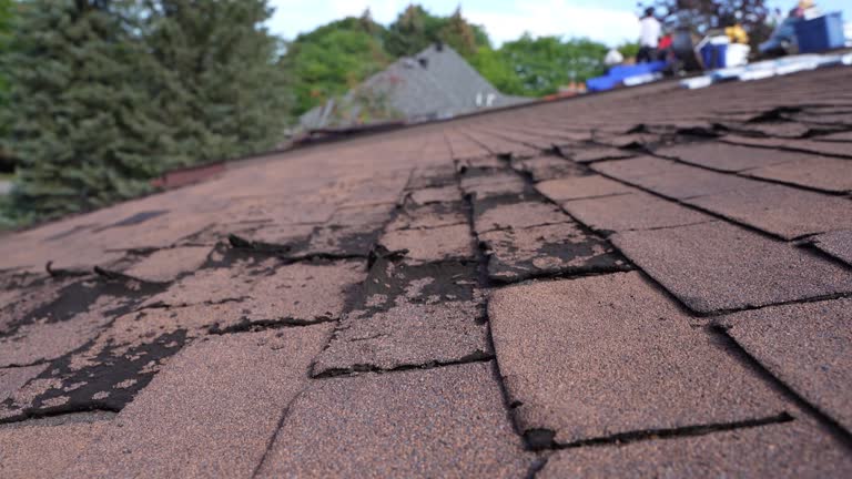 Best Slate Roofing  in Canadian, TX