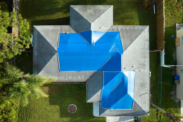 Best Solar Panel Roofing Installation  in Canadian, TX