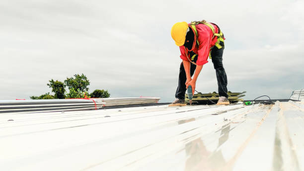 Best Chimney Flashing Repair  in Canadian, TX
