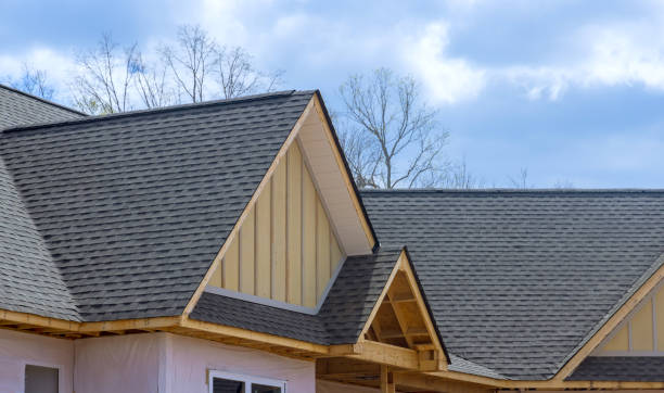 Best Roof Coating and Sealing  in Canadian, TX
