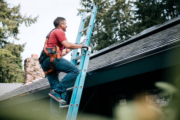 Best Skylight Installation and Repair  in Canadian, TX